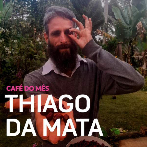 Microlote - Thiago da Mata